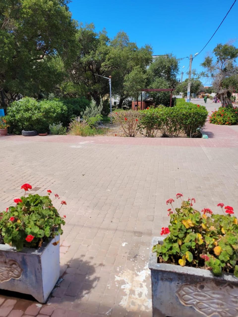 Imi Ouaddar Apartment Just Steps From The Beach Agadir n'Ait Sa Extérieur photo